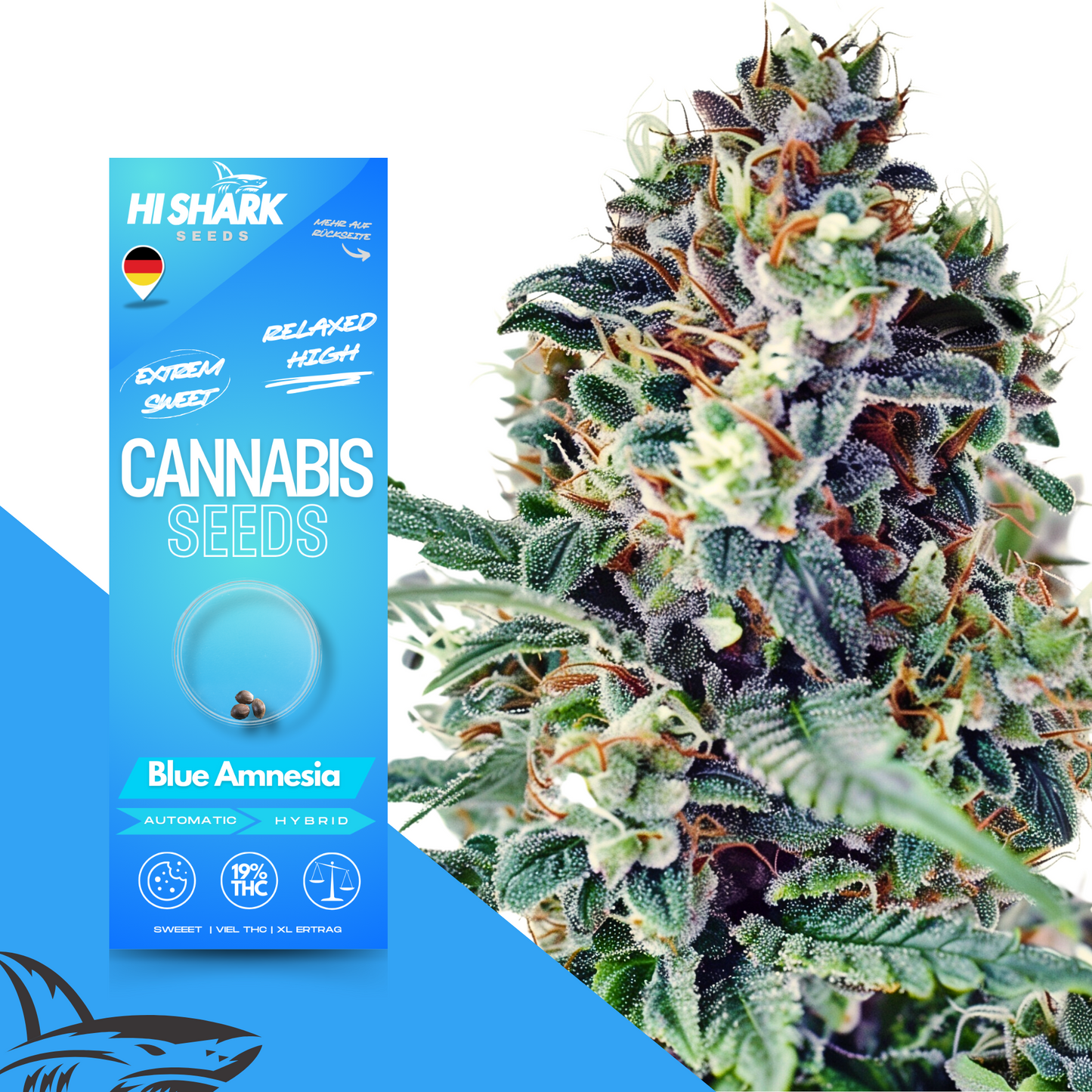 Blue Amnesia Autoflower Hanfsamen bestellen bei Hi-Shark.com