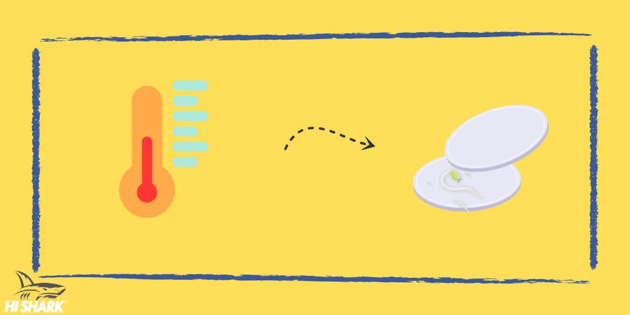 Step 3 of cannabis seed germination