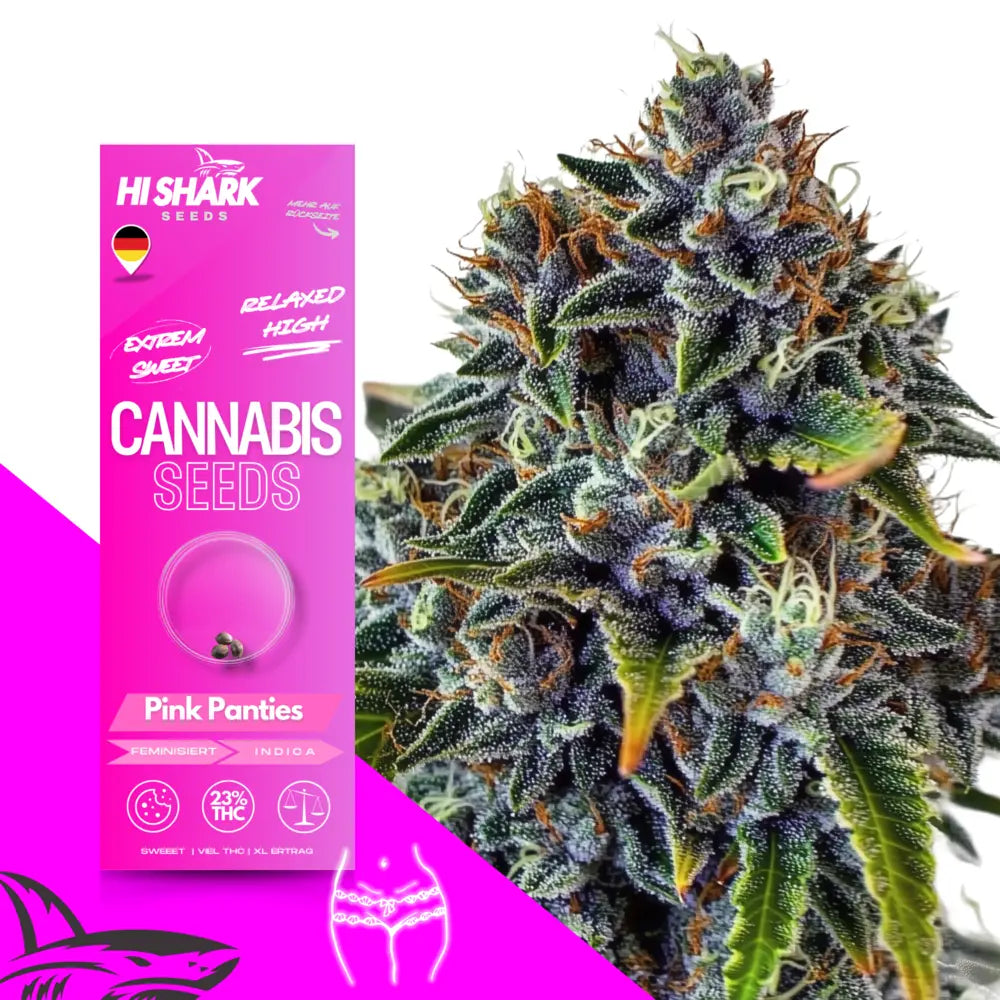 Pink Panties Cannabissamen bestellen bei Hishark