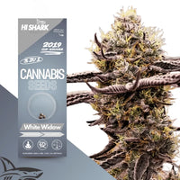 White Widow Cannabissamen bestellen bei Hishark